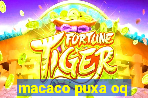 macaco puxa oq